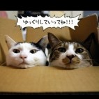 あいち